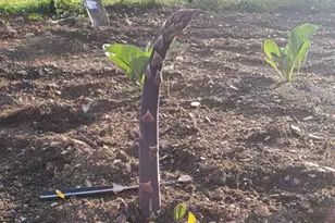 2960 Baltimore Pike, Hanover, PA 17331 - Photo 35