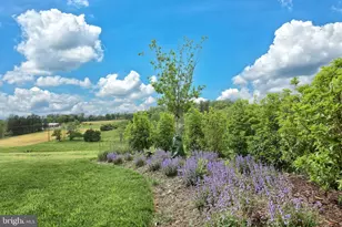 12 Ervin Dr, Shrewsbury, PA 17361 - Photo 47