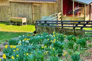 16756 Mount Airy Rd, Shrewsbury, PA 17361 - Photo 61