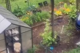 2115 Potts Hill Rd, Etters, PA 17319 - Photo 33