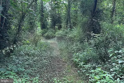 16756 Mount Airy Road, Shrewsbury, PA 17361 - Photo 87