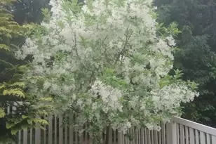 405 Boyd Dr, Red Lion, PA 17356 - Photo 69