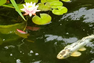 405 Boyd Dr, Red Lion, PA 17356 - Photo 67