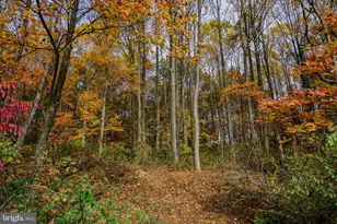 988 Kratz Rd, Glen Rock, PA 17327 - Photo 93