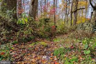 988 Kratz Rd, Glen Rock, PA 17327 - Photo 97