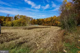 988 Kratz Rd, Glen Rock, PA 17327 - Photo 87
