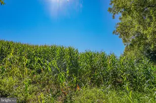 988 Kratz Rd, Glen Rock, PA 17327 - Photo 61