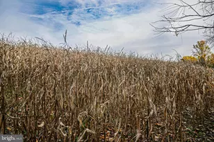 988 Kratz Rd, Glen Rock, PA 17327 - Photo 89