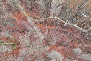 558 Rockey Rd, Red Lion, PA 17356 - Photo 47