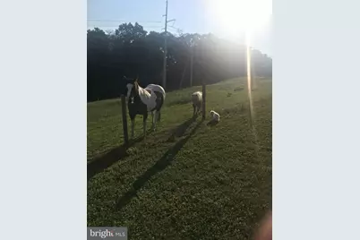 585 Thomas Armor Drive, Windsor, PA 17366 - Photo 13