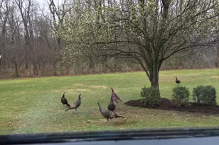 800 Kendale Rd, Red Lion, PA 17356 - Photo 63