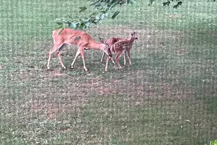 800 Kendale Rd, Red Lion, PA 17356 - Photo 61