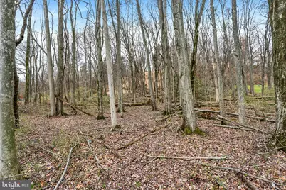 Lot 3 Cly Road, York Haven, PA 17370 - Photo 19