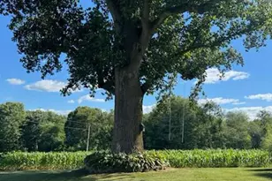 15138 Little Rd, Stewartstown, PA 17363 - Photo 43