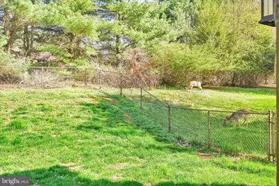 1080 Canadochly Road, York, PA 17406 - Photo 49