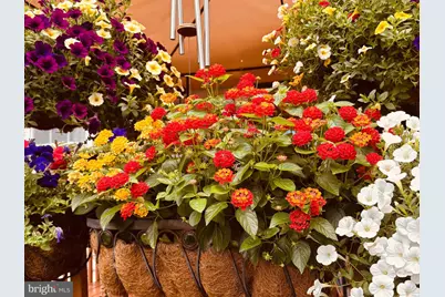 2515 Admire Springs Drive, Dover, PA 17315 - Photo 31