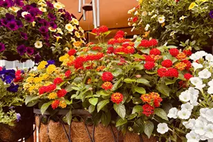 2515 Admire Springs Dr, Dover, PA 17315 - Photo 31