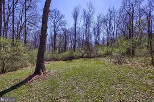 1411 S Mountain Rd, Dillsburg, PA 17019 - Photo 63