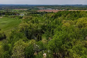 1134 S Mountain Rd, Dillsburg, PA 17019 - Photo 57