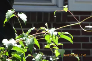 45 Ridgeway Dr, York, PA 17404 - Photo 51
