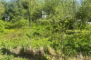 Ecker and Ice House, Stewartstown, PA 17363 - Photo 3