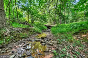 4192 Evergreen Rd, Felton, PA 17322 - Photo 45