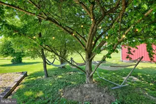 588 Muddy Creek Forks Rd, Brogue, PA 17309 - Photo 41