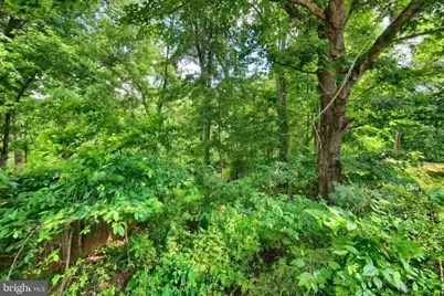 278 Juniper Drive, Etters, PA 17319 - Photo 7