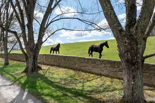 9981 & 10215 Douglas Rd, Red Lion, PA 17356 - Photo 7