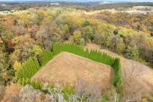 9980 Douglas Rd, Red Lion, PA 17356 - Photo 61