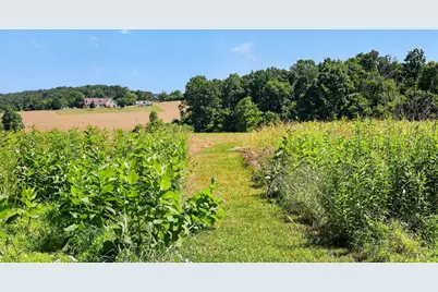 8042 Bobs Road, Felton, PA 17322 - Photo 35