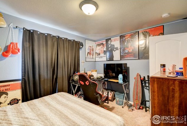 7034 Mcclellan Rd, Wellington CO 80549-2313 exterior