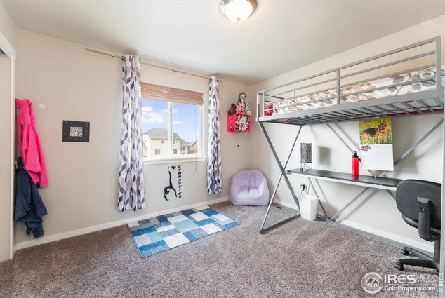 4336 Carlyle Ln, Wellington CO  80549-0023 exterior