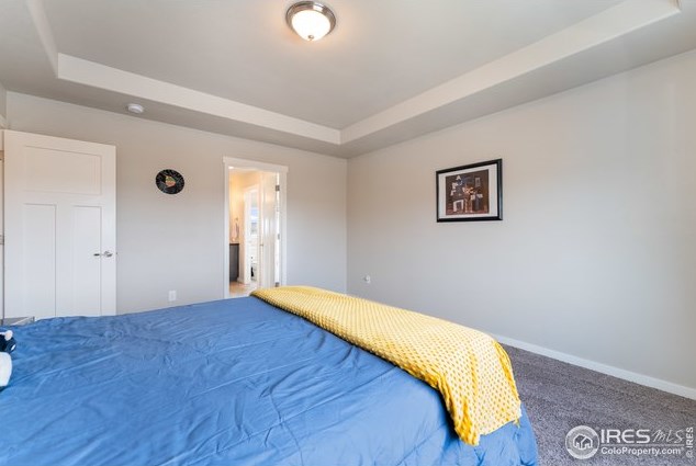 4336 Carlyle Ln, Wellington CO  80549-0023 exterior