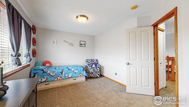 9016 Smoke Signal Way, Wellington CO  80549-3039 exterior