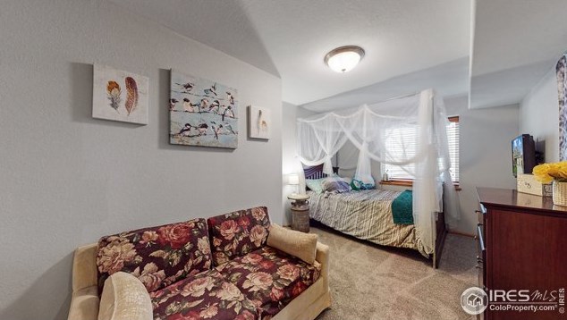 9016 Smoke Signal Way, Wellington CO  80549-3039 exterior