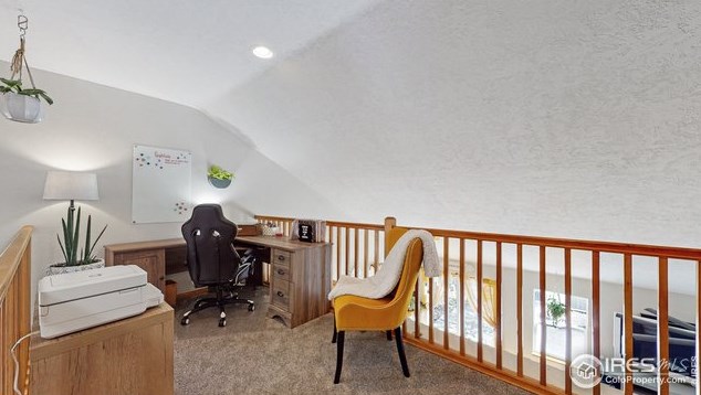 9016 Smoke Signal Way, Wellington CO  80549-3039 exterior