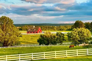 11 Danberry Dr, Ringoes, NJ 08551 - Photo 63