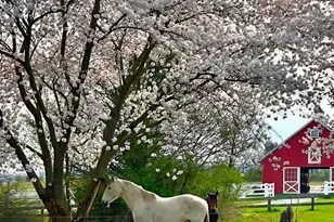 11 Danberry Dr, Ringoes, NJ 08551 - Photo 59