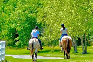 11 Danberry Dr, Ringoes, NJ 08551 - Photo 53