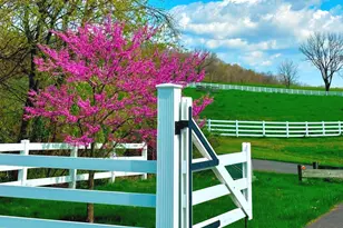 11 Danberry Dr, Ringoes, NJ 08551 - Photo 41