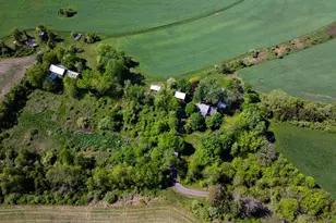 722 Rosemont Ringoes Rd, Stockton, NJ 08559 - Photo 9