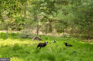 416 Rosemont Ringoes Road Rd, Stockton, NJ 08559 - Photo 9