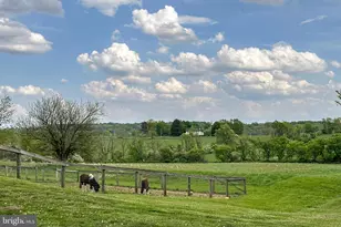 760 Rosemont Ringoes Rd, Stockton, NJ 08559 - Photo 99