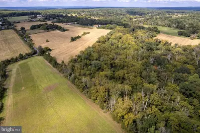 14 Hunter Road, Lambertville, NJ 08530 - Photo 35