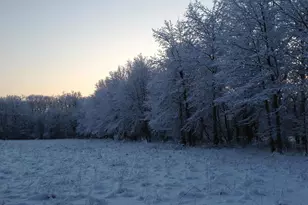 35 Barbertown Point Breeze Rd, Frenchtown, NJ 08825 - Photo 41