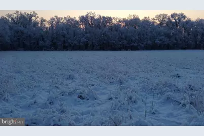 35 Barbertown Point Breeze Road, Frenchtown, NJ 08825 - Photo 39