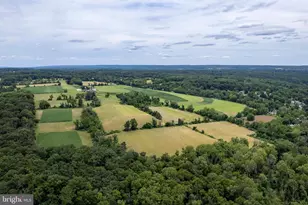 960 Sergeantsville Rd, Stockton, NJ 08559 - Photo 21