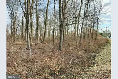 147 Rocktown Road, Ringoes, NJ 08551 - Photo 9