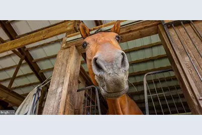 152 Warsaw Road, Frenchtown, NJ 08825 - Photo 61